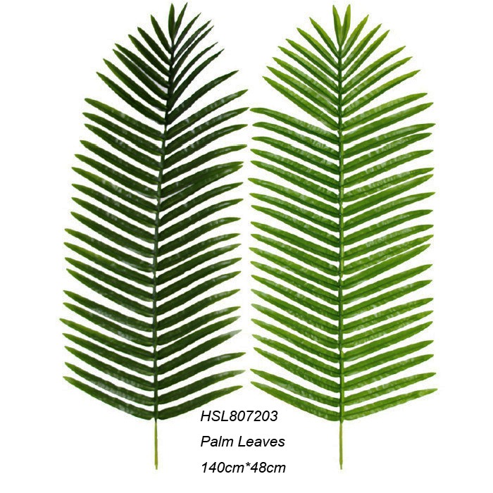 Leaves