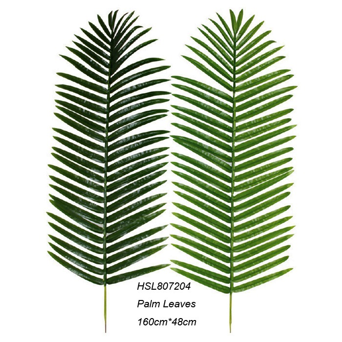Leaves