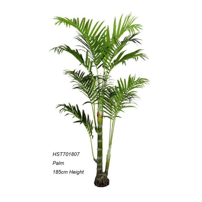 Palm Trees