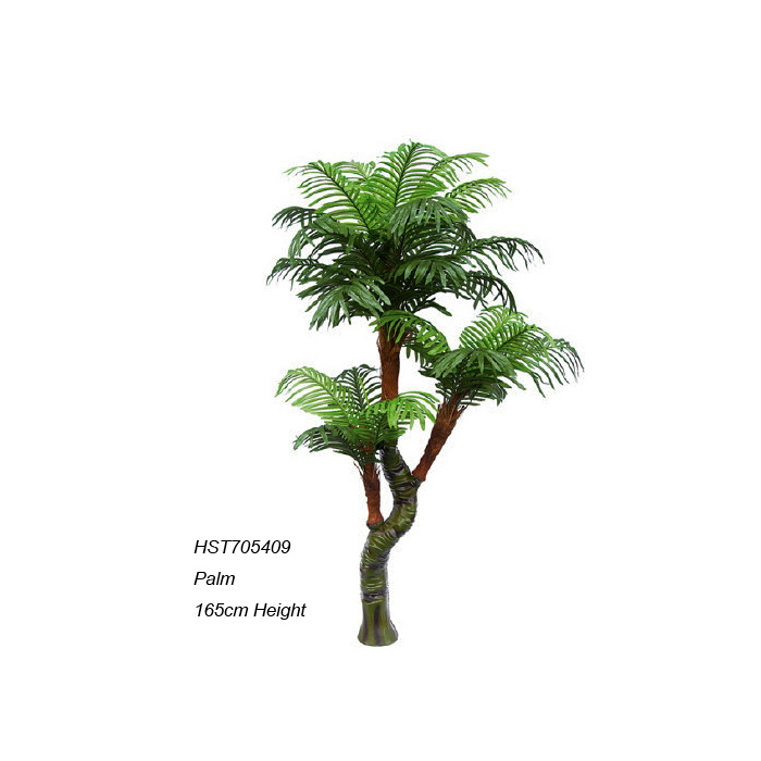 Palm Trees