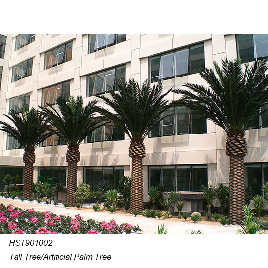 Palm Trees