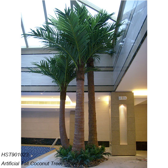 Palm Trees