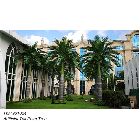 Palm Trees