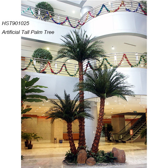 Palm Trees