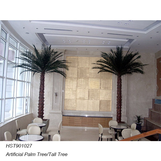 Palm Trees