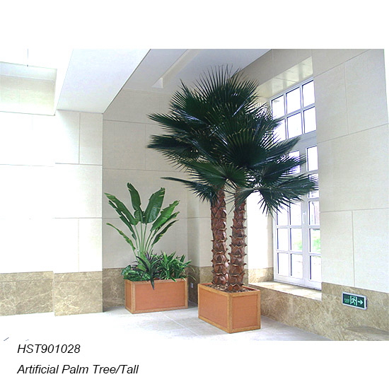 Palm Trees
