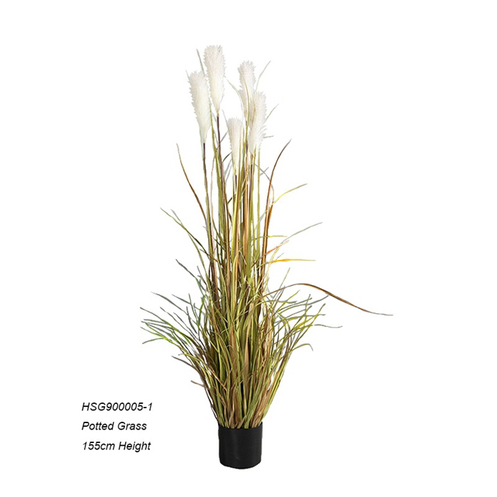 Hanging plants,Potted Grass